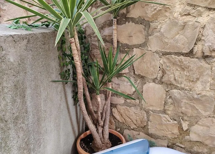 Garden Living Room, Cozy Appartement